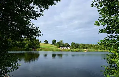 Cow Shed and Luxe Lake