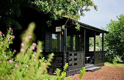 Fly Lodge 2
